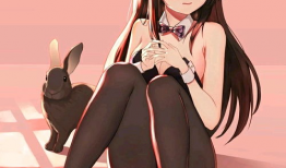 兔女郎动漫,萌动青春的奇幻之旅